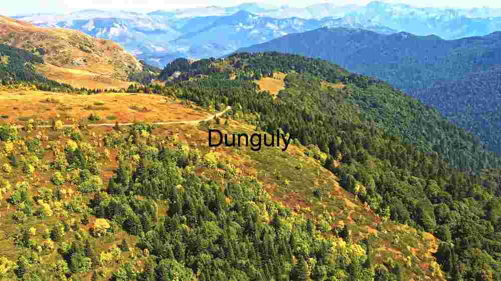 Explore Earth's extraordinary terrain. Witness stunning worldwide vistas (110) Hill Track with Blue Sky