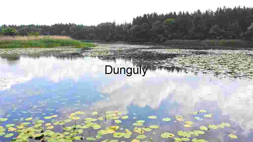 Explore Earth's extraordinary terrain. Witness stunning worldwide vistas (114) Waterlily in Pond near Alps