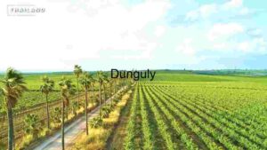 Road Between Green Field - Thailand