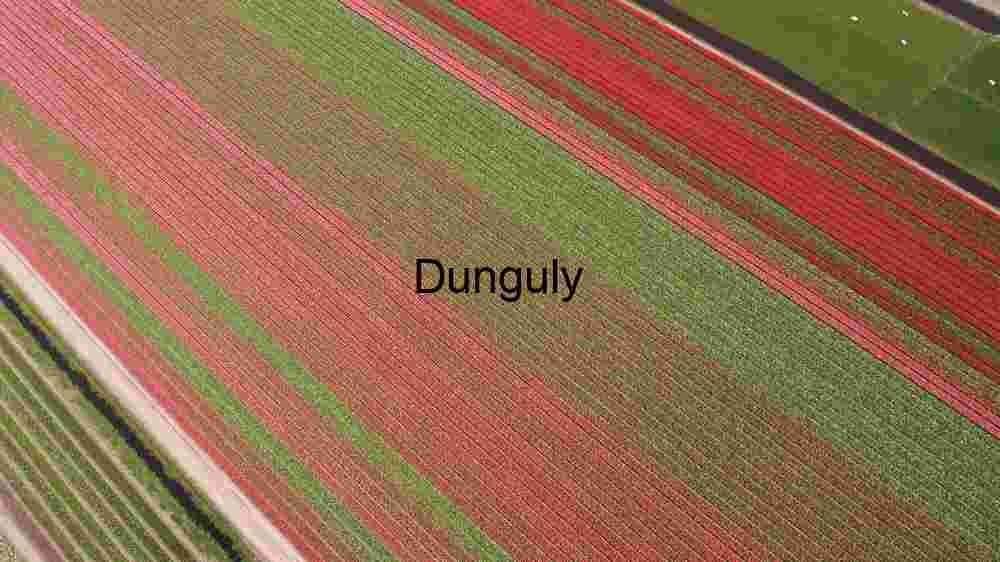 Explore Earth's striking scenery. Witness awe-inspiring worldwide panoramas (19) Purple Tulip Fields