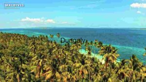 Tropical Island with Coconut Trees