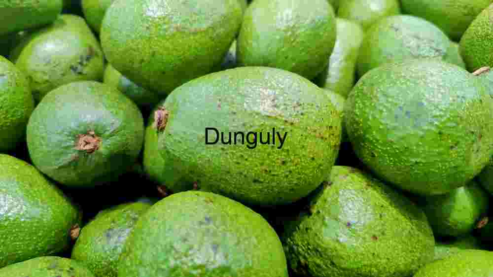 Tourist captures Europe's breathtaking beauty in stunning imagery (13) Avocado Fruits for Background
