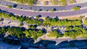 Roads Cutting Through Trees and Grassland