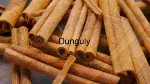 Cinnamon Bark