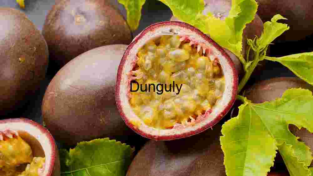 Tourist captures Europe's breathtaking beauty in stunning imagery (73) Rare Hybrid Passionfruit
