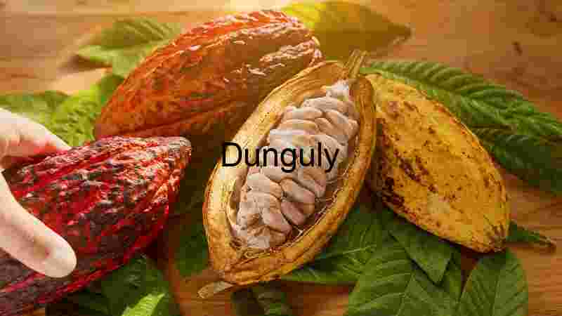 Tourist captures Europe's breathtaking beauty in stunning imagery (8) Cocoa Beans and Cocoa Pod