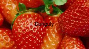 Strawberry Background Image