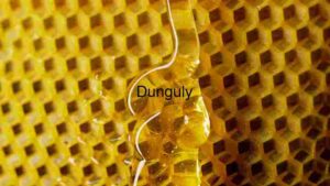 Honeycomb Textured Close Up