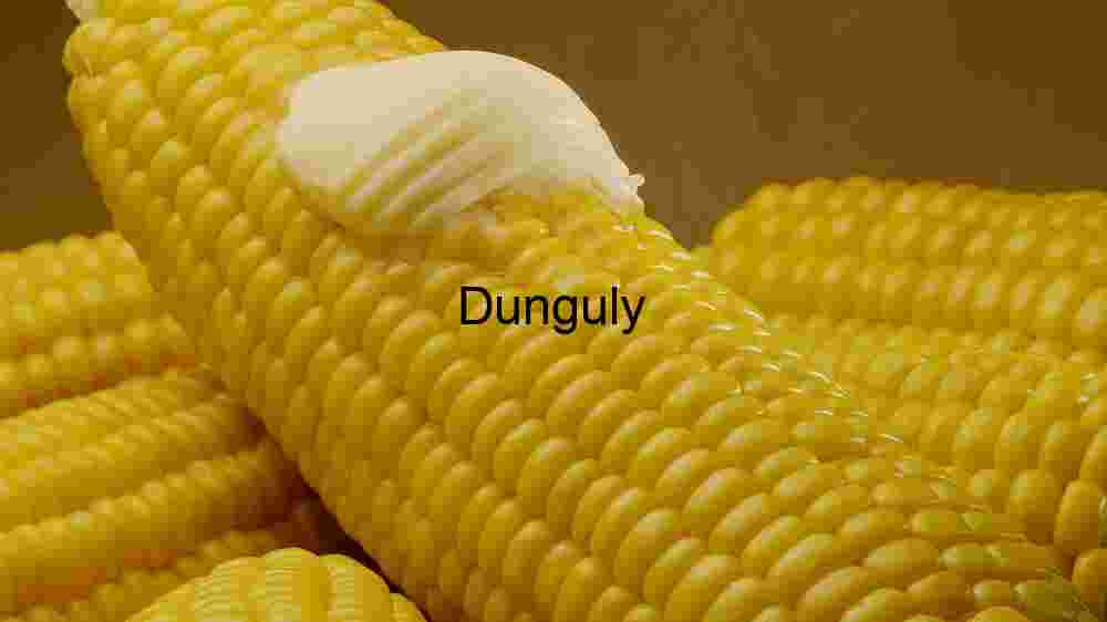 Tourist captures Europe's breathtaking beauty in stunning imagery (84) Corn and Melted Butter Close Up