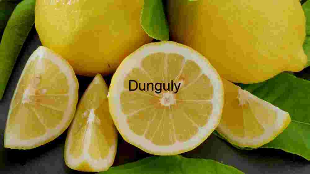 Tourist captures Europe's breathtaking beauty in stunning imagery (86) Fresh Lemon with Leaves