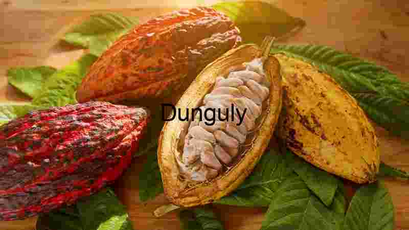 Tourist captures Europe's breathtaking beauty in stunning imagery (9) Cocoa Beans with Cocoa Pod