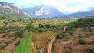 Mountain Vista and Lush Agricultural Landscape