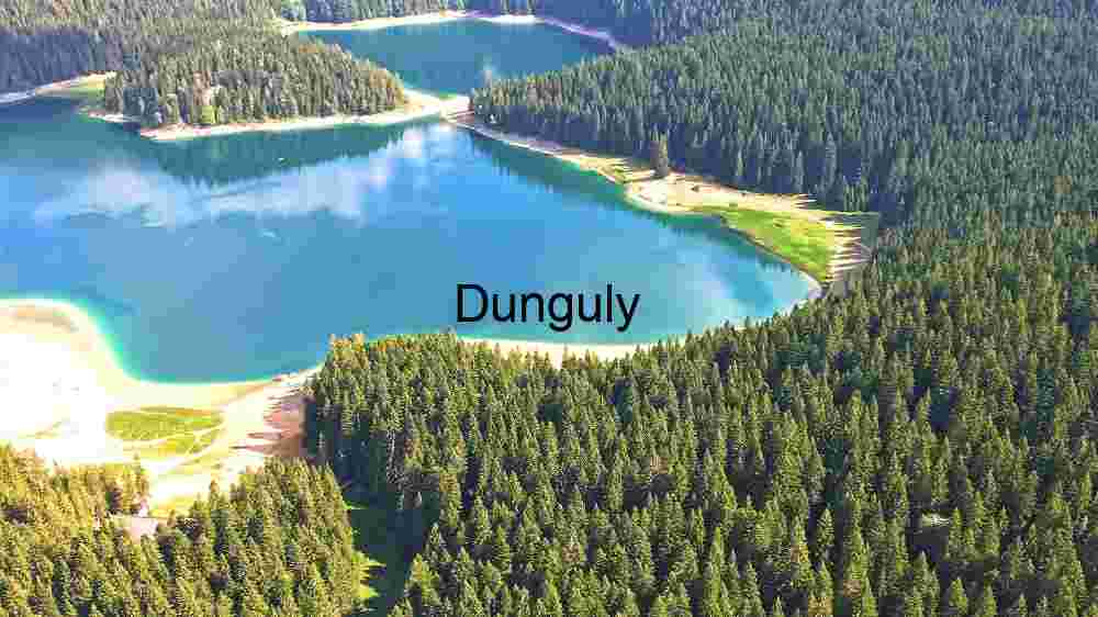 Discover Earth's remarkable landscapes. Behold breathtaking global views (181) Alpine Forest and Lake