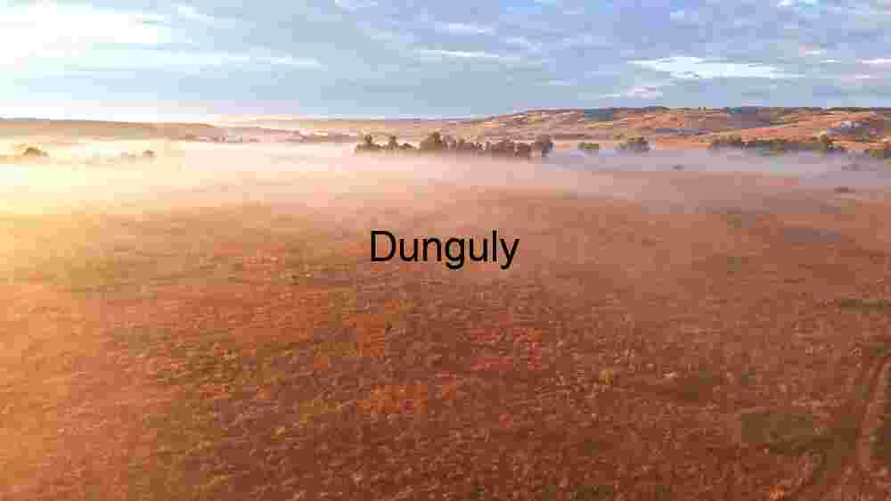 Discover Earth's remarkable landscapes. Behold breathtaking global views (21) Misty Sunrise Over Tranquil Fields