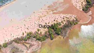 Dynamic River Landscape