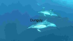 Graceful Pod of Dolphins Gliding Through the Ocean Depths