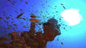 mesmerizing image captures the vibrant and bustling life of a coral reef