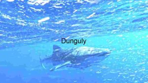 Majestic Blue Depths: A Tuna's Underwater Journey