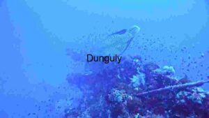 Hidden Wonders of the Sea Floor