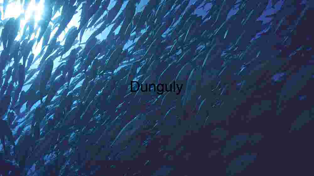 Enchanting marine life, captivating beauty beneath the waves, a world of wonder undersea (21) Underwater Serenity: A School of Fish in the Ocean Depths