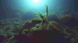 Sunlit on Starfish