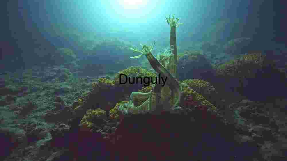 Enchanting marine life, captivating beauty beneath the waves, a world of wonder undersea (24) Sunlit on Starfish