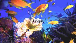 dynamic and colorful life within a coral reef