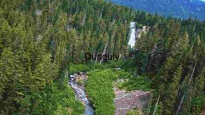 Nature’s Symphony: The Majestic Waterfall