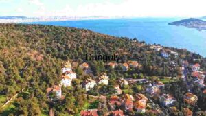 Coastal Elegance: Aerial View of Luxury Seaside Living