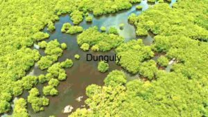 Forest and River Landscape Scenery
