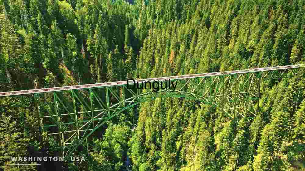 Explore Earth's striking scenery. Witness awe-inspiring worldwide panoramas (95) Long Green Bridge Spanning Across Dense Forest