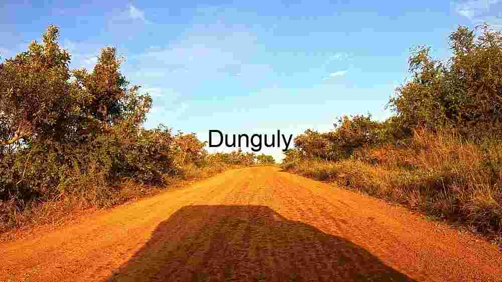 Explore the wild majesty of wildlife through thrilling encounters (74) Rustic Charm: A Dusty Country Road at Sunset