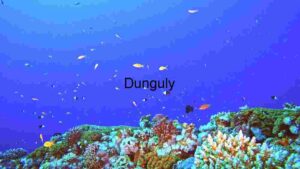 At Home Underwater Serenity: A Glimpse into the Coral Reef Ecosystem
