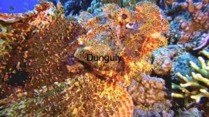 At Home Camouflaged Wonders of the Deep: A Scorpionfish in its Natural Habitat