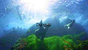 Underwater Serenity: Seals in Their Natural Habitat