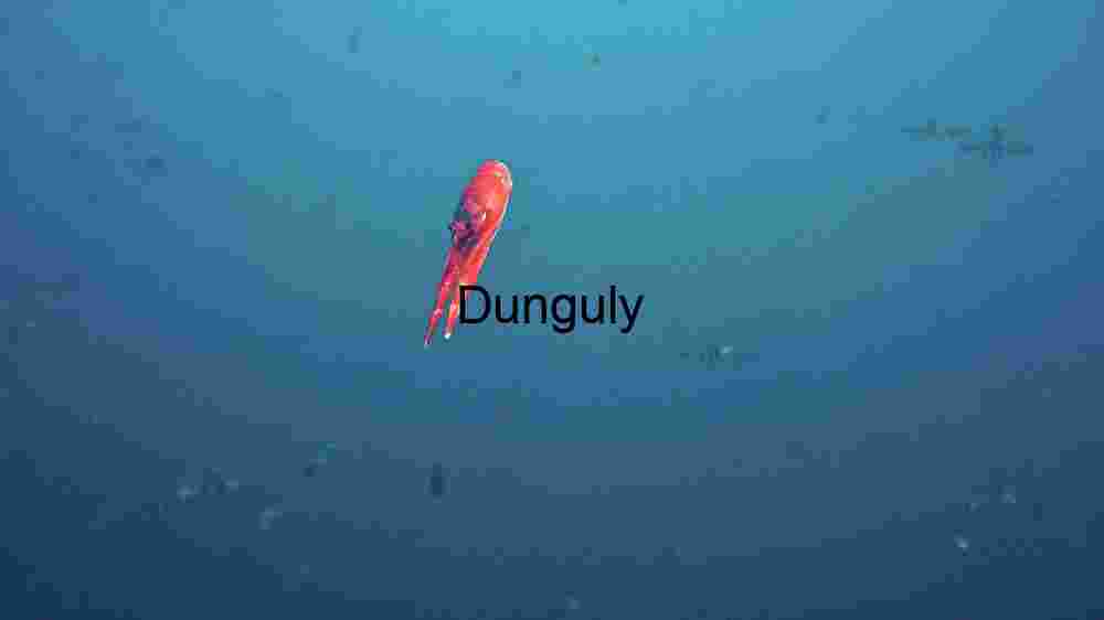 Ocean Animal Adventures Dive into diverse sea species' thrilling world! (103) Serenity in the Depths: A Lone Squid's Journey
