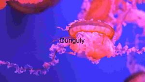 Ethereal Underwater Dance: The Grace of Jellyfish