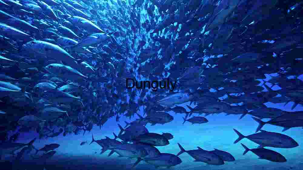 Ocean Animal Adventures Dive into diverse sea species' thrilling world! (23) Underwater Fish Swarm