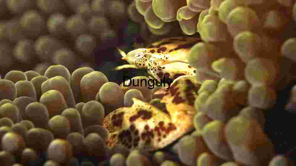 Ocean Animal Adventures Dive into diverse sea species' thrilling world! (294) Underwater Camouflage: The Art of Blending In