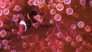 At Home Vivid Microcosm: A Journey Through Cellular Landscapes