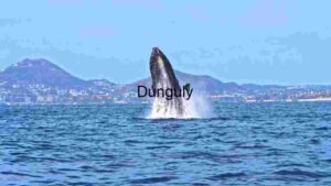 Majestic Whale Breach Against Cityscape