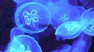 Luminous Depths: A Dance of Jellyfish