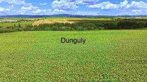 At Home Verdant Farmland: A Panorama of Agricultural Abundance