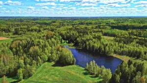 At Home Verdant Vista: Aerial View of a Lush Forest Landscape with Serene Lake