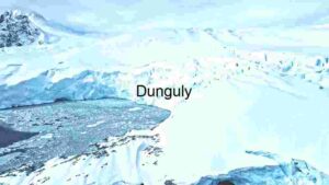 At Home Arctic Serenity: A Glimpse into the Frozen Wilderness