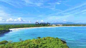 At Home Tropical Paradise: Aerial View of a Pristine Beach