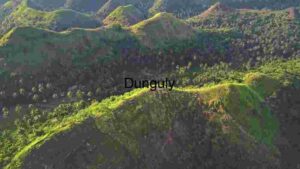 The Tropical Mountain Tapestry