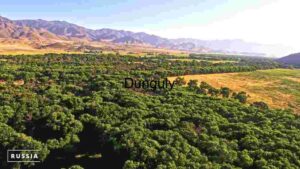 At Home Verdant Valley: A Panoramic View of Russia's Diverse Landscape
