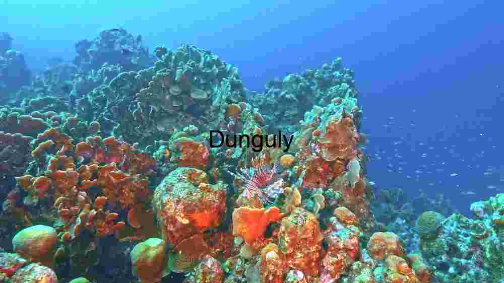 Mesmerizing marine life, enchanting beauty beneath the waves, an underwater wonderland (155) Underwater Coral Reef Ecosystem