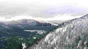 At Home Winter Wonderland: A Serene Mountain Landscape